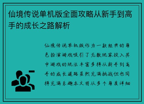 仙境传说单机版全面攻略从新手到高手的成长之路解析